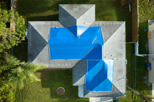 Best Green or Eco-Friendly Roofing Solutions  in Petersburg, VA